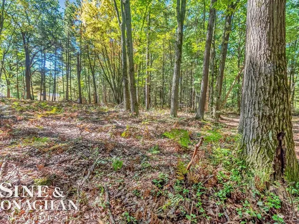 LOT 13 Vienna Ct, Houghton Lake, MI 48629