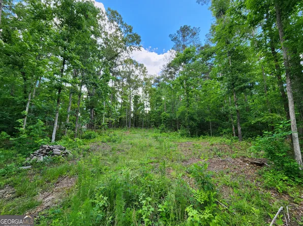 165 Sycamore Dr, Sparta, GA 31087