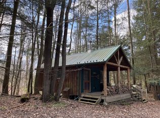 10481 Ryan Hollow Rd LOT WP001, Cohocton, NY 14826