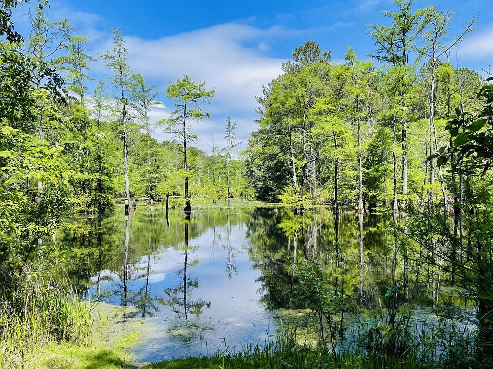 Black River Ln, Harrells, NC 28444 Zillow