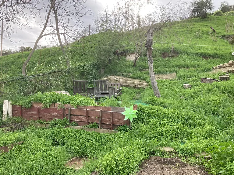 708 Amador St — Photo 18