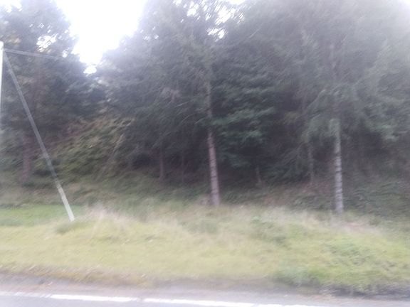 View of lot at Shelter Cove Rd