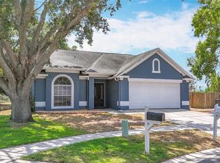 4722 Lighterwood Way, Valrico, FL 33596