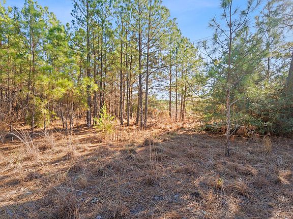 5th image of LOT 65 W State Highway 21