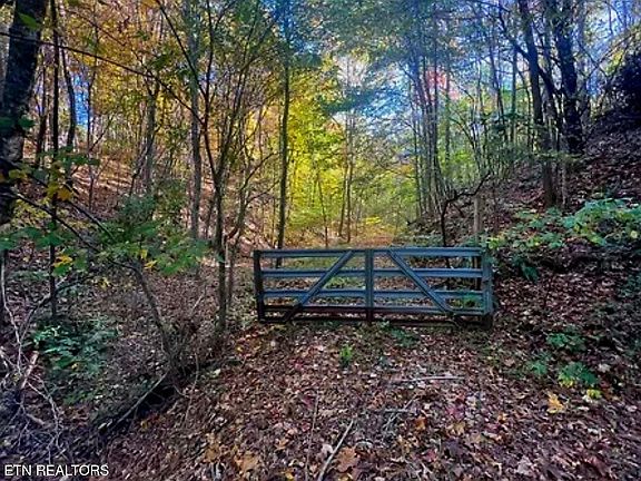 4th image of 0 Manning Hollow Rd