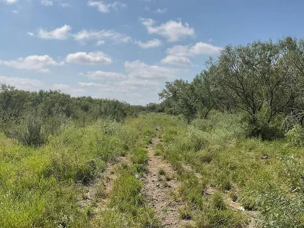 0 Rhode Ranch Private Road, Tilden, TX 78072