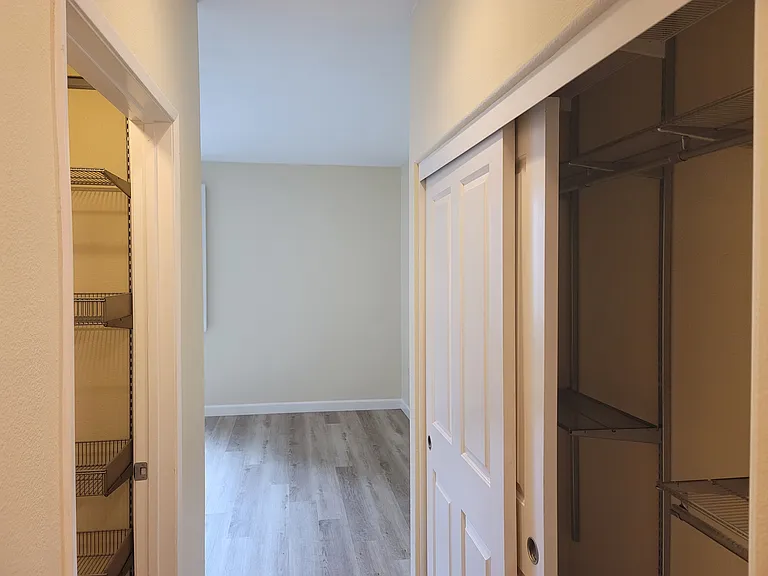 Walk in closet and additional closet in Primary suite