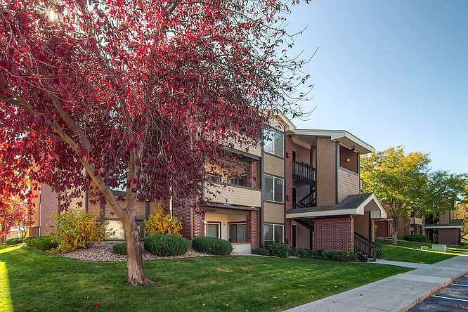 Pinecone Apartments — Photo 1