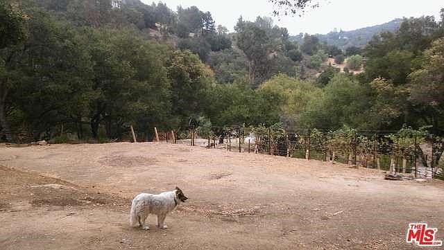 1st image of 301 B Old Topanga Canyon Rd