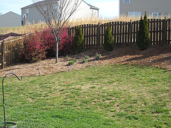 Backyard lanscaping