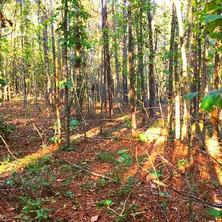 1st image of 615 County Road 1061