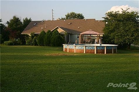 Beautiful back yard with pool!