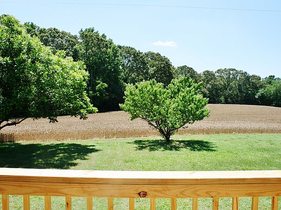 Back Deck View