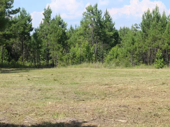 0 Old Forreston Rd, Greeleyville, SC 29056