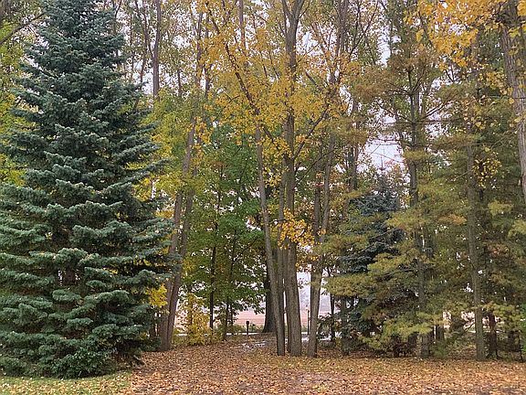 View from front porch