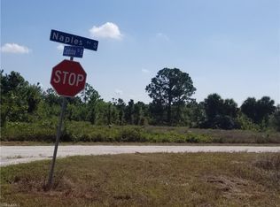 351 Naples Ave S, Lehigh Acres, FL 33974