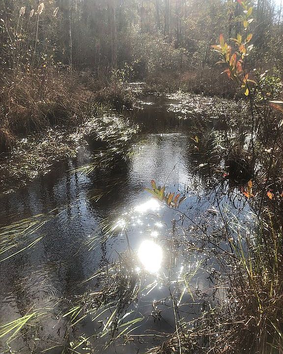 Davis Bridge Rd, Williston, SC 29853 Zillow