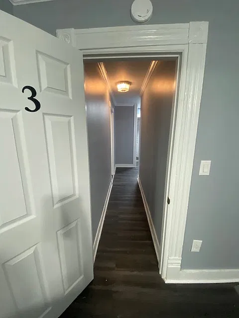 220 Bassett St - Apt 2 — Photo 2