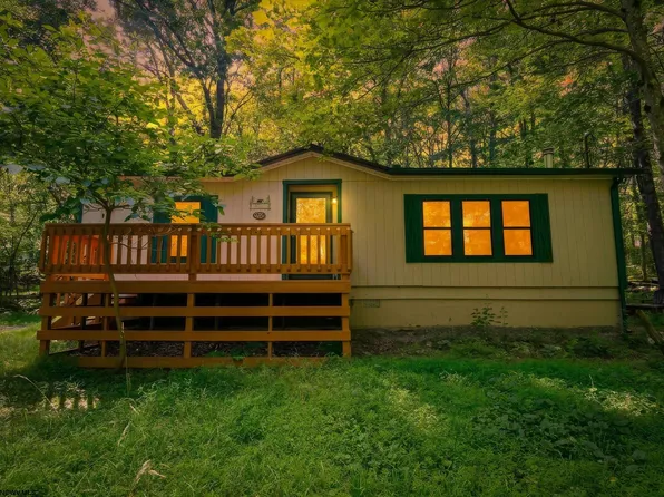 395 Woodbine Dr, Terra Alta, WV 26764
