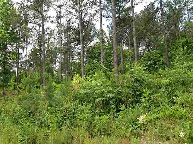 1st image of LOT 59 Four Pointes N Natures View Dr