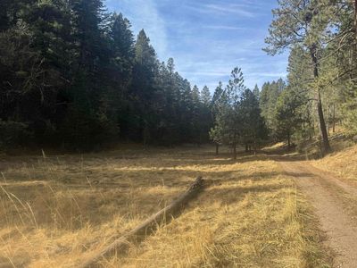 Dark Canyon Rd, Cloudcroft, NM, 88317