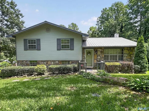3917 Plains Ave SW, Fort Payne, AL 35967