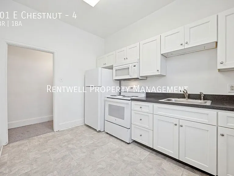 201 Chestnut St #4 — Photo 3