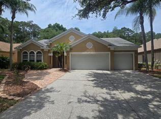 4602 Enright Dr, Palm Harbor, FL 34685