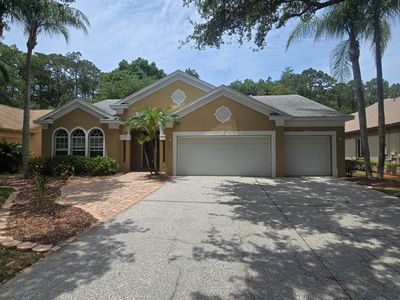 4602 ENRIGHT DRIVE, Palm Harbor, FL, 34685