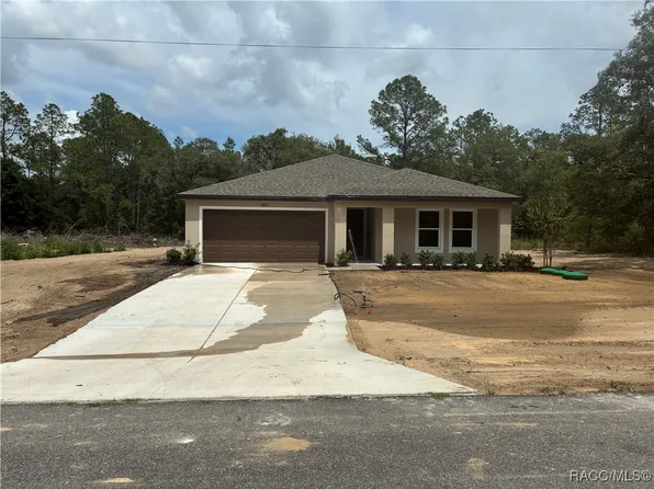 2817 W Higgins Pl, Citrus Springs, FL 34433
