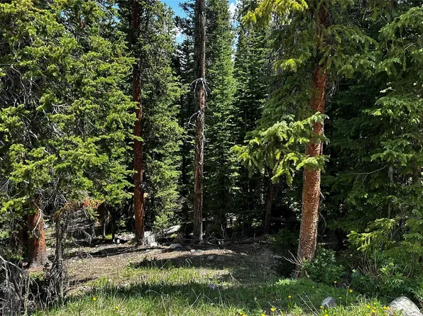 584 Camron Lane, Breckenridge, CO 80424