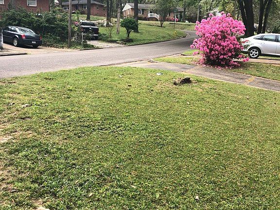 3rd image of 3355 Willow Lane Dr