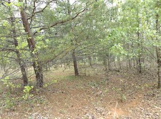 Off Of Crockett Ln, Elizabethton, TN 37643