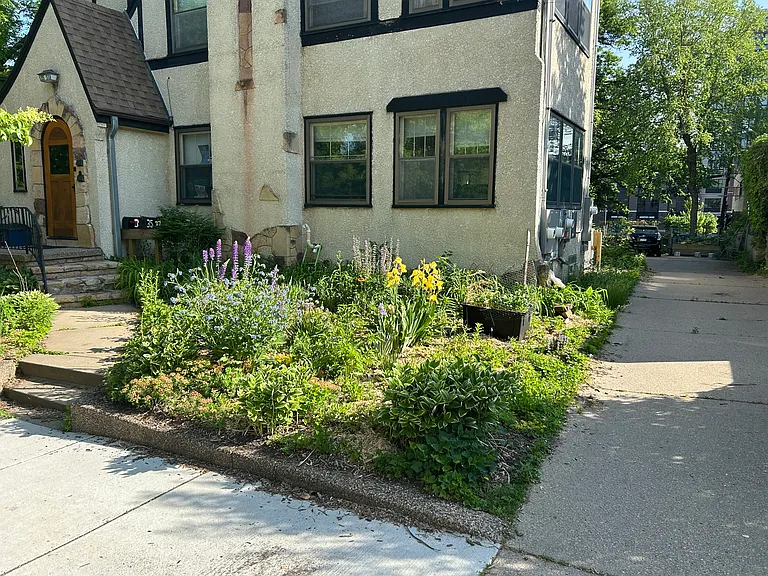 Front yard spring flowers in bloom.