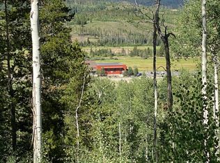 163 Mills Mdw, Fraser, CO 80442