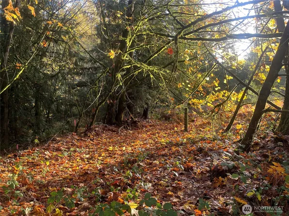 8621 SE Bethel Burley Road, Port Orchard, WA 98367