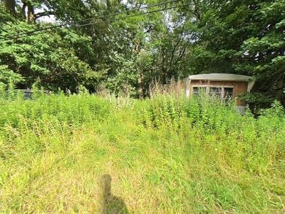 426 Portville Eldred Rd, Portville, NY, 14770