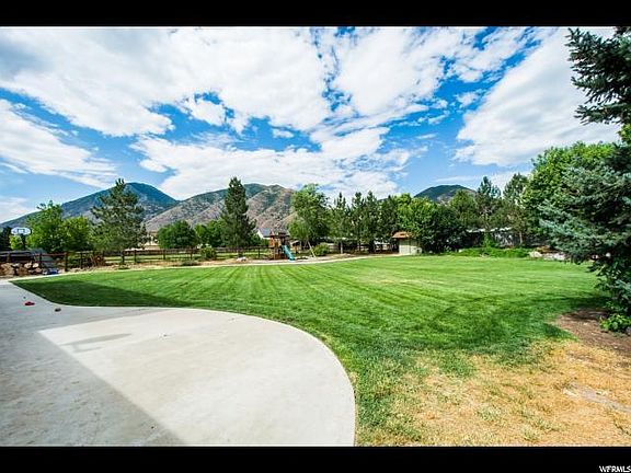 Big backyard - woot!