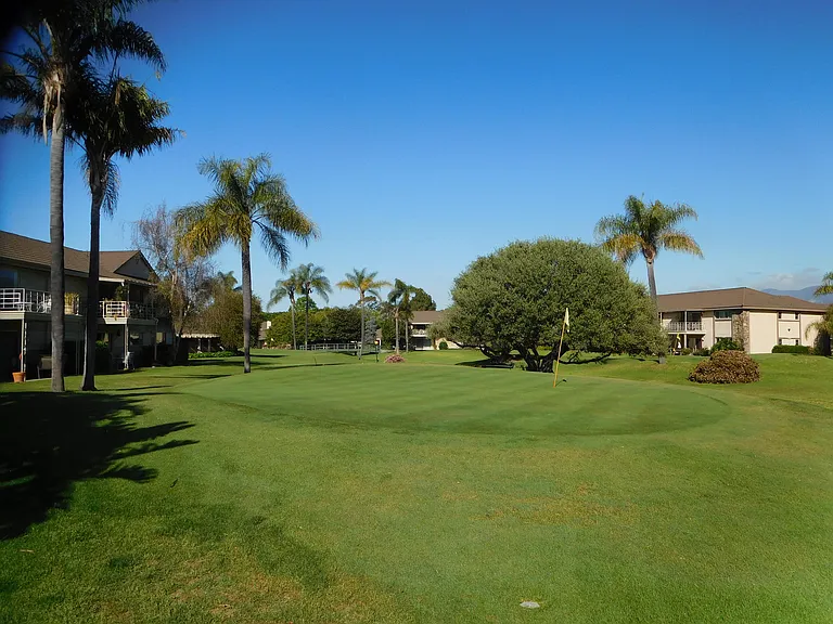 231 Moreton Bay Ln #1 — Photo 6
