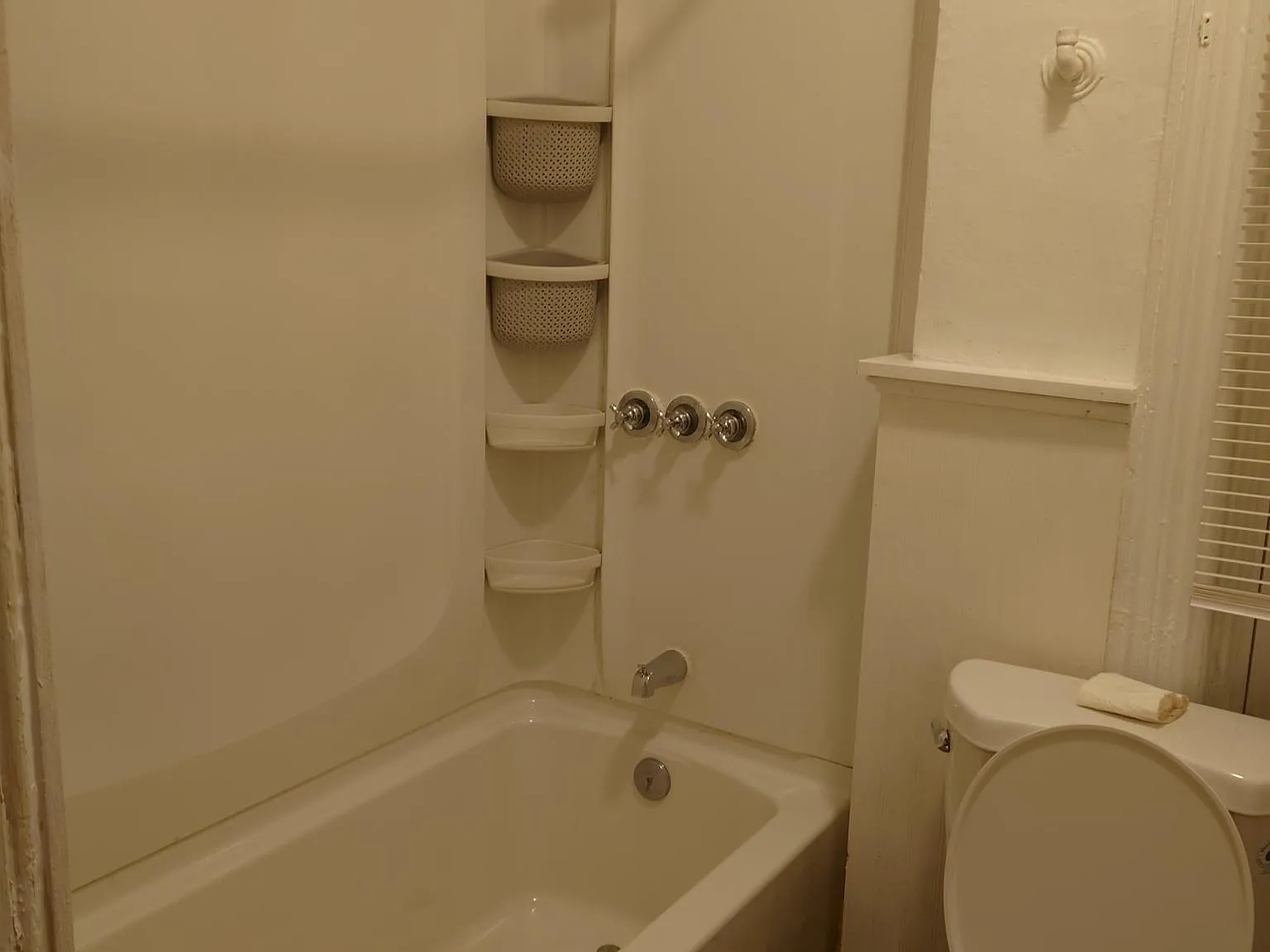 1 bed, 1000 sqft, $1,295 — Photo 4