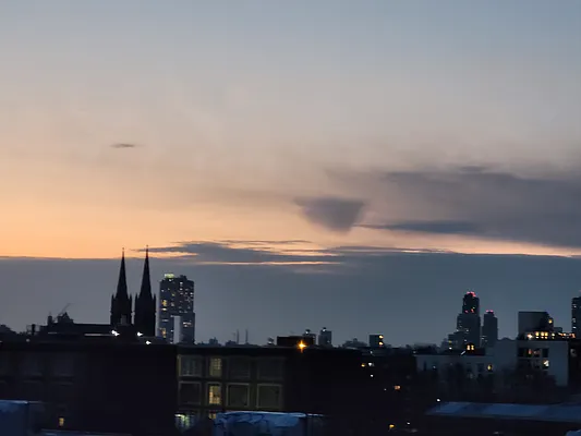 Rented by Garden Management | media 19