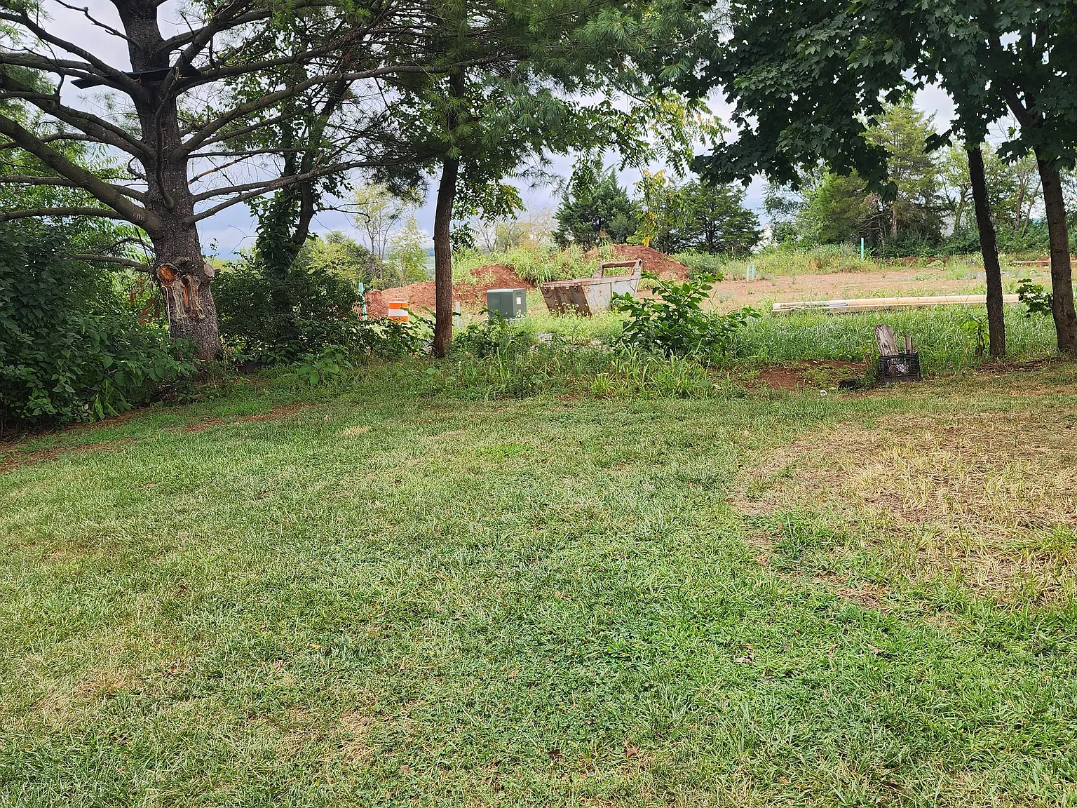 3 bed, 1080 sqft, $1,700 — Photo 3