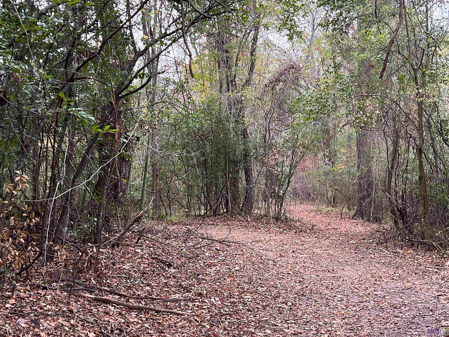 Rb 2 Us Highway Rb St LOT 612, Saint Francisville, LA 70775 MLS