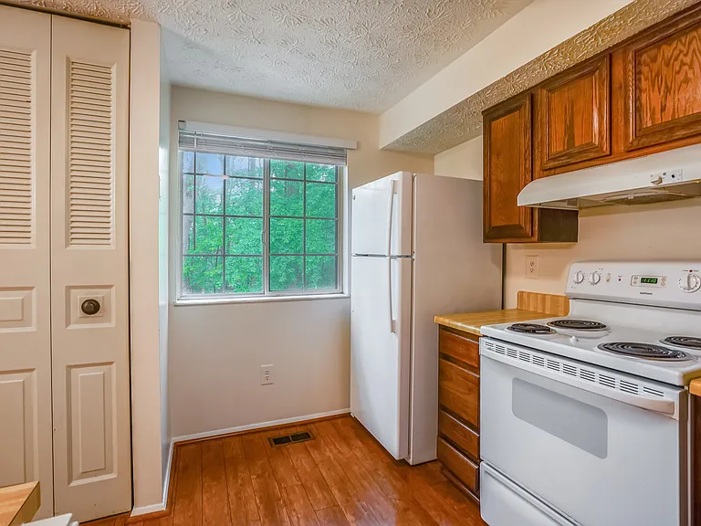 11504 Ivy Bush Ct — Photo 4