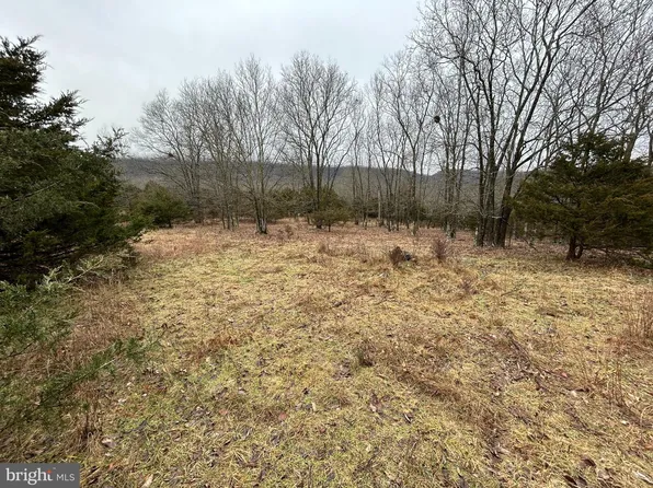 Quantico Trail Bantry Way, Maysville, WV 26833
