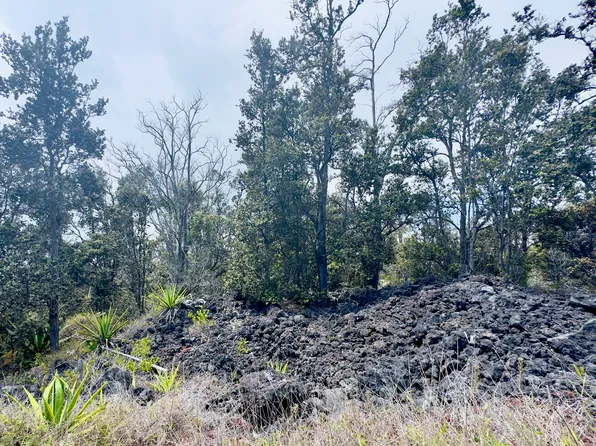 Koa Ln Lot 14, Captain Cook, HI 96704