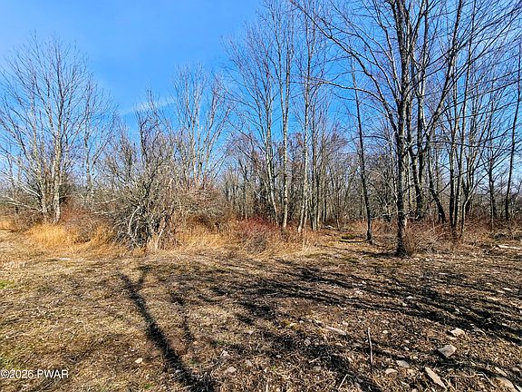 5th image of 170 Zion Rd