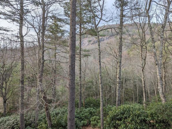 1111 Shirley Pressley Rd UNIT 2, Glenville, NC 28736