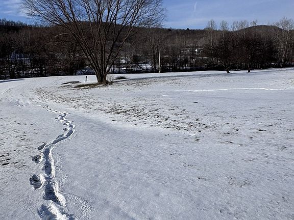 3rd image of 1368 Looker Mountain Trl