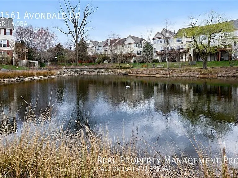11561 Avondale Dr — Photo 36